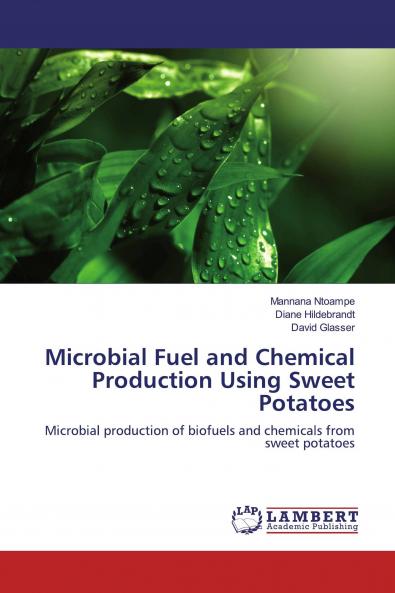 Microbial Fuel and Chemical Production Using Sweet Potatoes