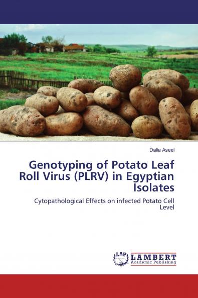 Genotyping of Potato Leaf Roll Virus (PLRV) in Egyptian Isolates