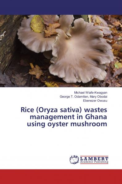 Rice (Oryza sativa) wastes management in Ghana using oyster mushroom