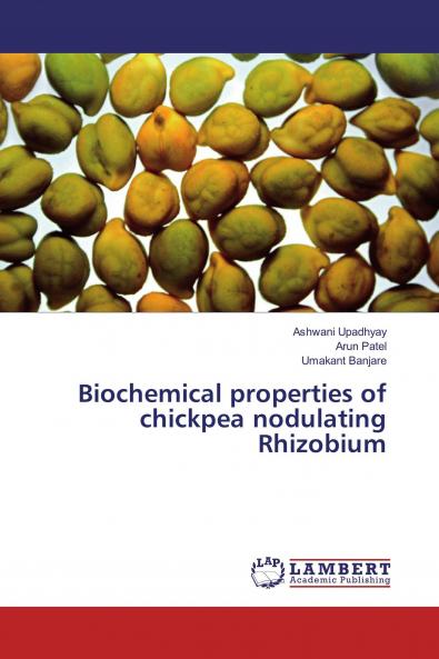Biochemical properties of chickpea nodulating Rhizobium