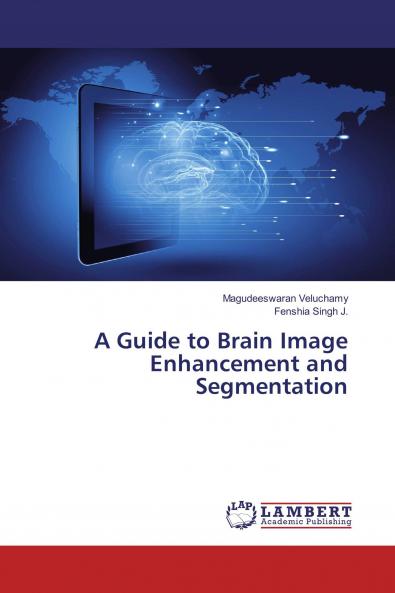 A Guide to Brain Image Enhancement and Segmentation