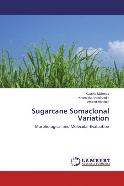 Sugarcane Somaclonal Variation