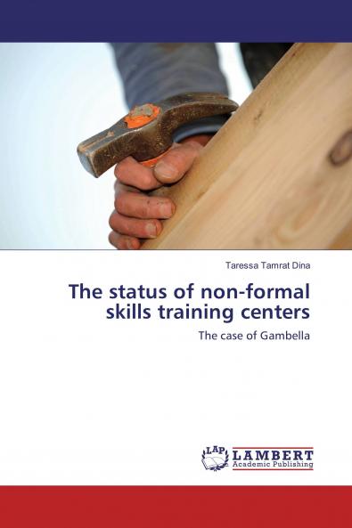 The status of non-formal skills training centers