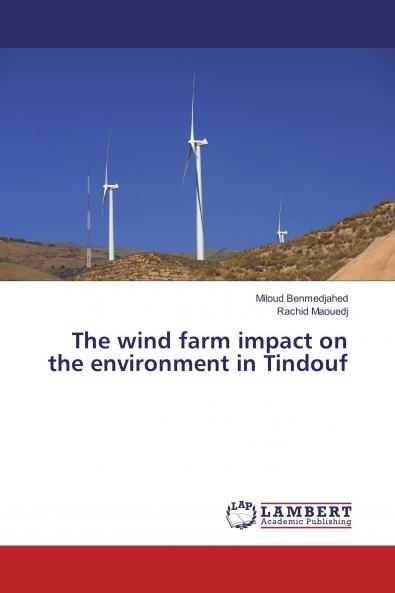 The wind farm impact on the environment in Tindouf