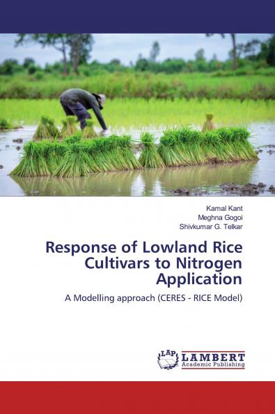 Response of Lowland Rice Cultivars to Nitrogen Application