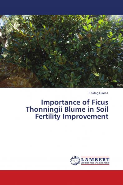 Importance of Ficus Thonningii Blume in Soil Fertility Improvement