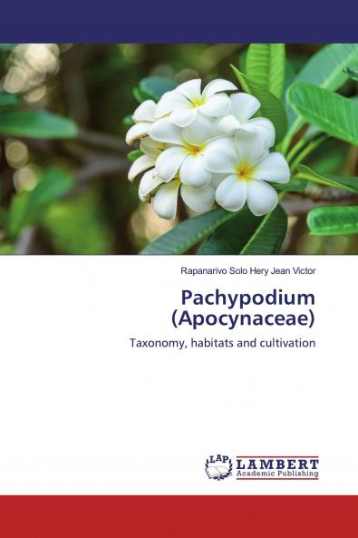 Pachypodium (Apocynaceae)