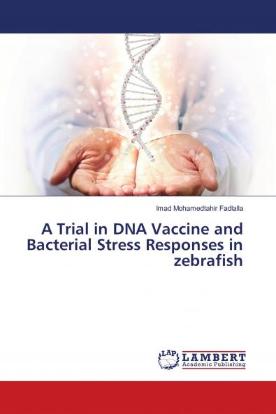 A Trial in DNA Vaccine and Bacterial Stress Responses in zebrafish