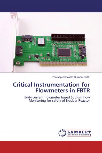 Critical Instrumentation for Flowmeters in FBTR