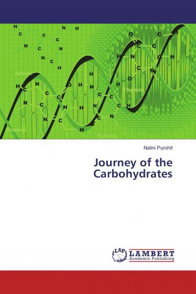 Journey of the Carbohydrates