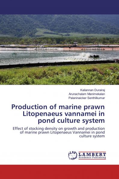 Production of marine prawn Litopenaeus vannamei in pond culture system
