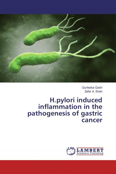 H.pylori induced inflammation in the pathogenesis of gastric cancer