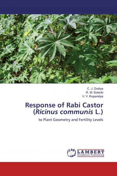 Response of Rabi Castor (Ricinus communis L.)