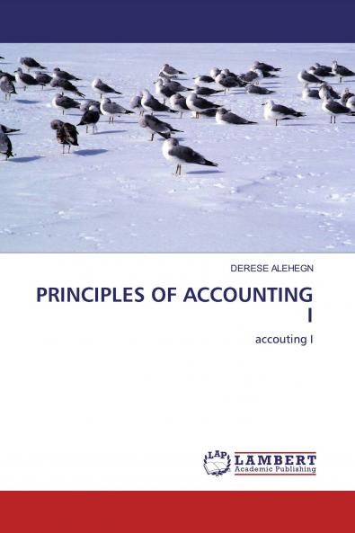 PRINCIPLES OF ACCOUNTING I