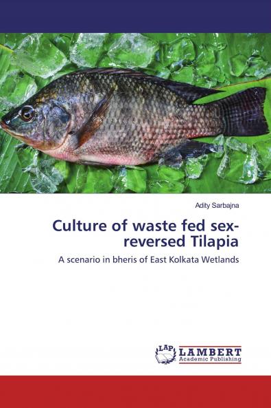 Culture of waste fed sex-reversed Tilapia