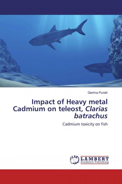 Impact of Heavy metal Cadmium on teleost Clarias batrachus