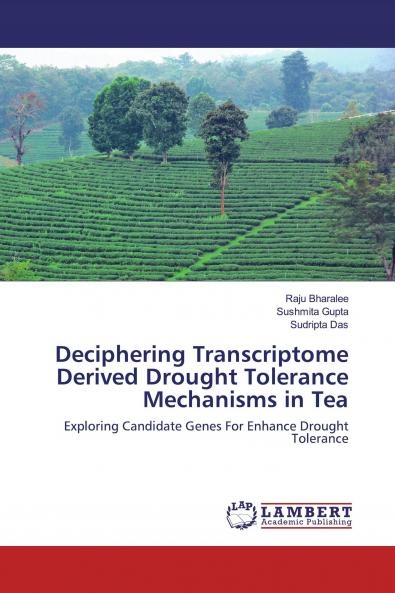 Deciphering Transcriptome Derived Drought Tolerance Mechanisms in Tea