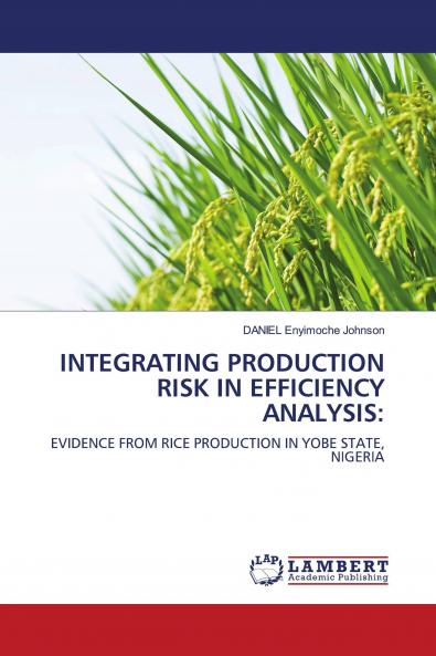 INTEGRATING PRODUCTION RISK IN EFFICIENCY ANALYSIS