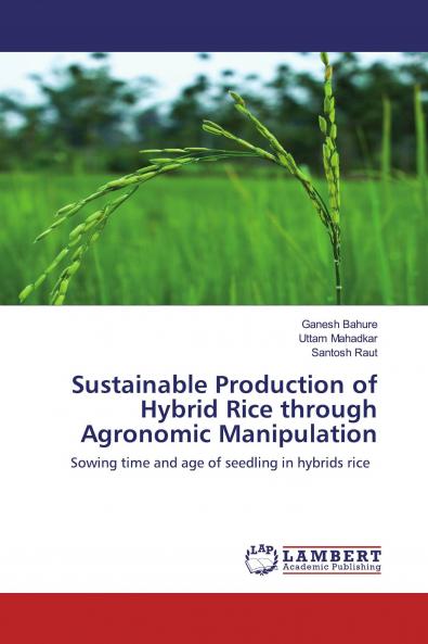 Sustainable Production of Hybrid Rice through Agronomic Manipulation