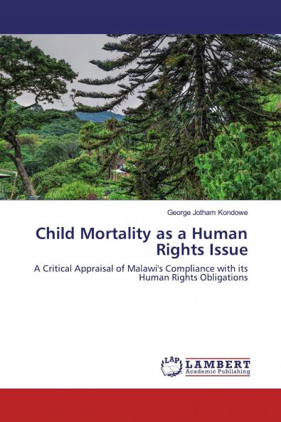 Child Mortality as a Human Rights Issue