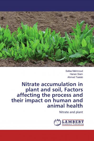 Nitrate accumulation in plant and soil Factors affecting the process and their impact on human and animal health