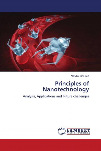 Principles of Nanotechnology