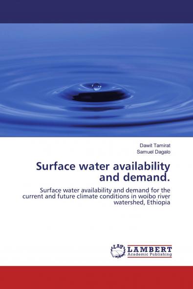 Surface water availability and demand.