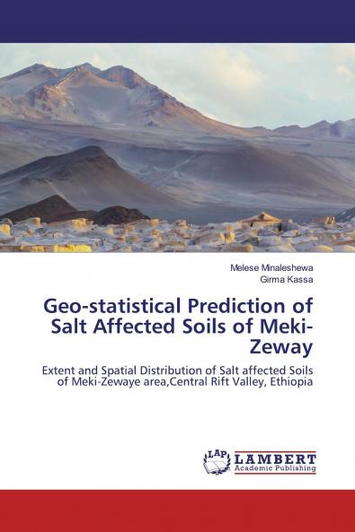 Geo-statistical Prediction of Salt Affected Soils of Meki-Zeway