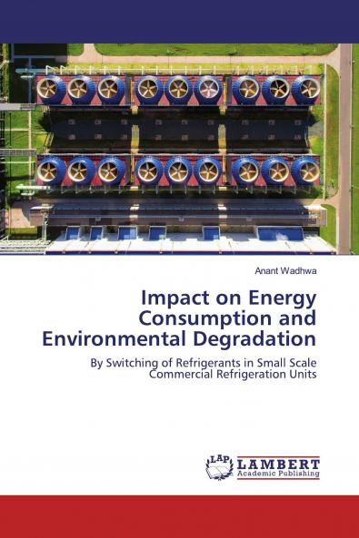 Impact on Energy Consumption and Environmental Degradation