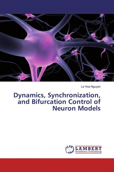 Dynamics Synchronization and Bifurcation Control of Neuron Models