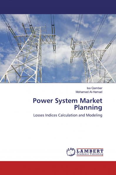Power System Market Planning