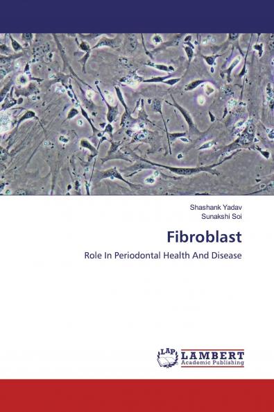 Fibroblast
