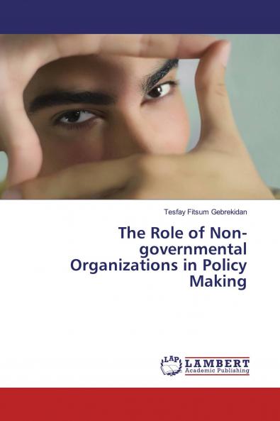 The Role of Non-governmental Organizations in Policy Making