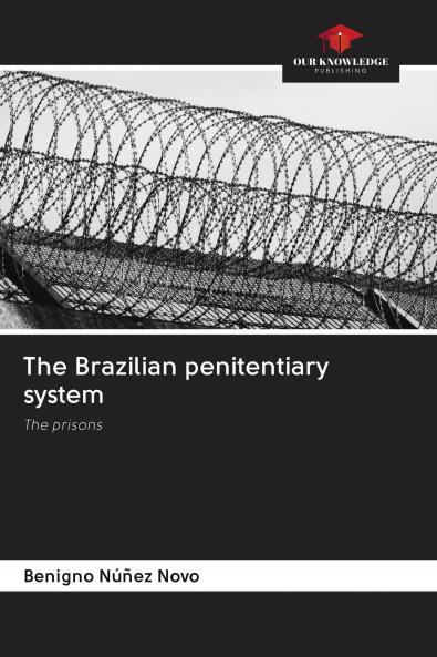 The Brazilian penitentiary system
