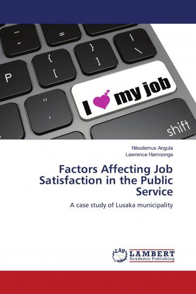 Factors Affecting Job Satisfaction in the Public Service