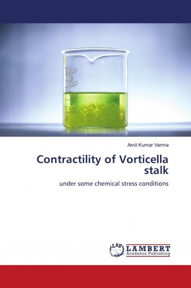 Contractility of Vorticella stalk