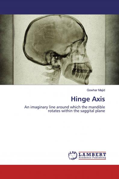 Hinge Axis