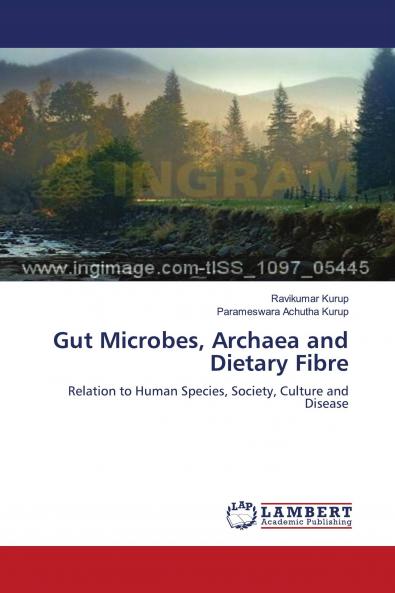 Gut Microbes Archaea and Dietary Fibre