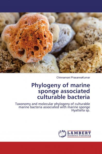 Phylogeny of marine sponge associated culturable bacteria