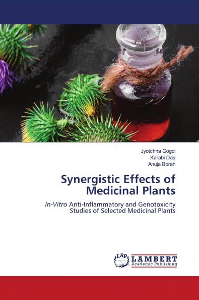 Synergistic Effects of Medicinal Plants