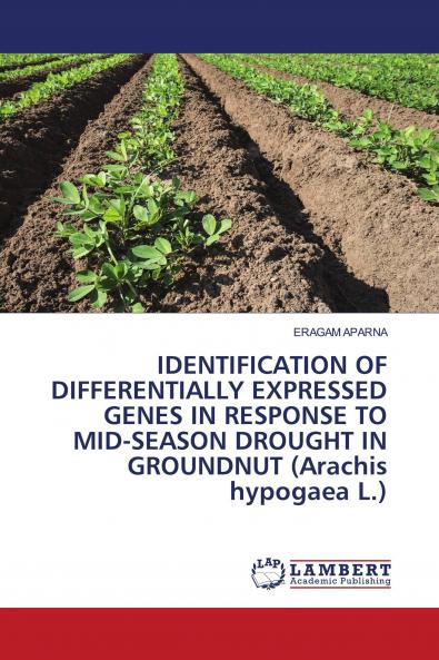 IDENTIFICATION OF DIFFERENTIALLY EXPRESSED GENES IN RESPONSE TO MID-SEASON DROUGHT IN GROUNDNUT (Arachis hypogaea L.)