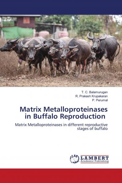 Matrix Metalloproteinases in Buffalo Reproduction
