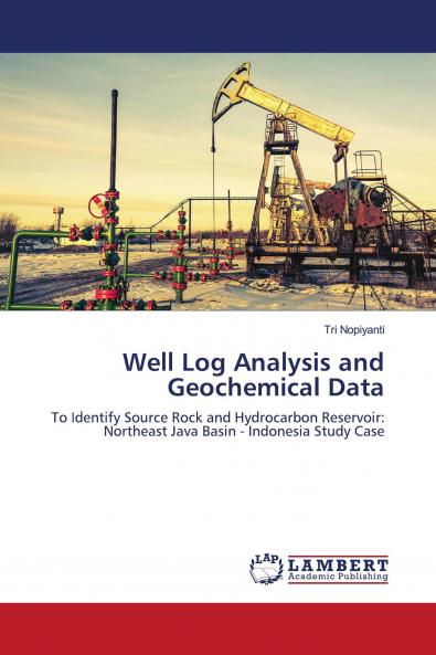 Well Log Analysis and Geochemical Data