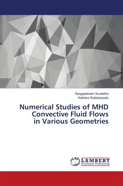 Numerical Studies of MHD Convective Fluid Flows in Various Geometries