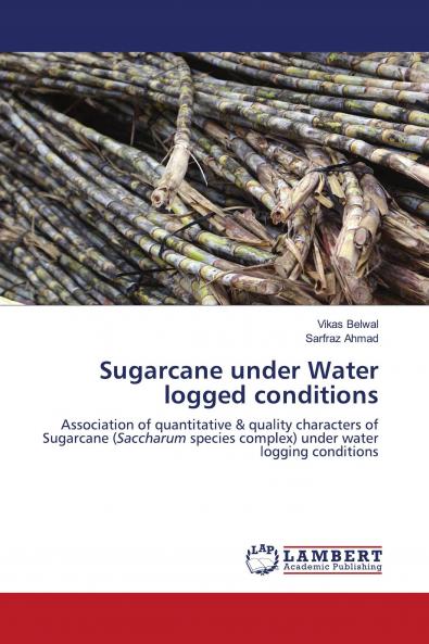 Sugarcane under Water logged conditions