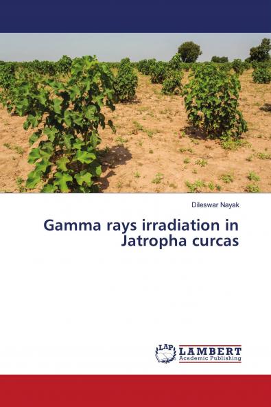 Gamma rays irradiation in Jatropha curcas