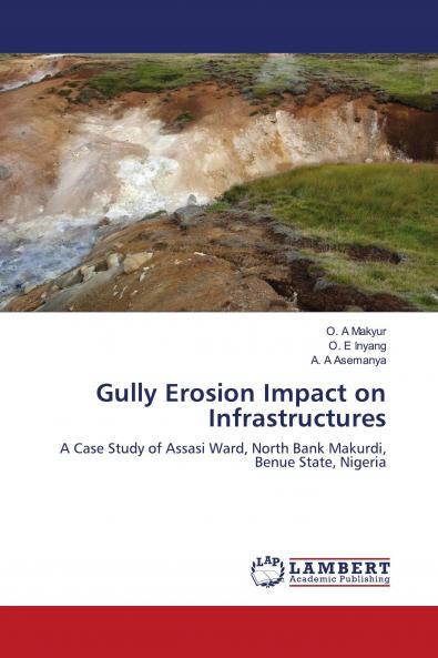 Gully Erosion Impact on Infrastructures