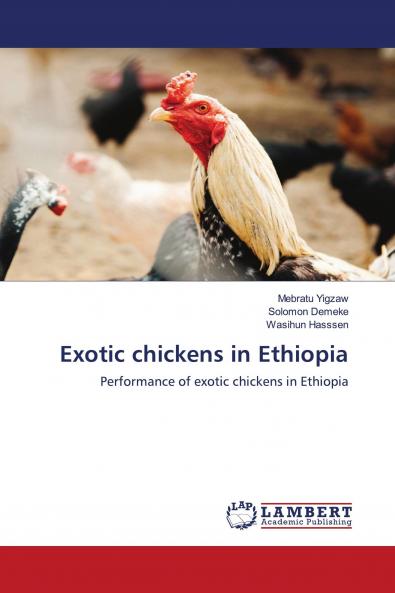 Exotic chickens in Ethiopia