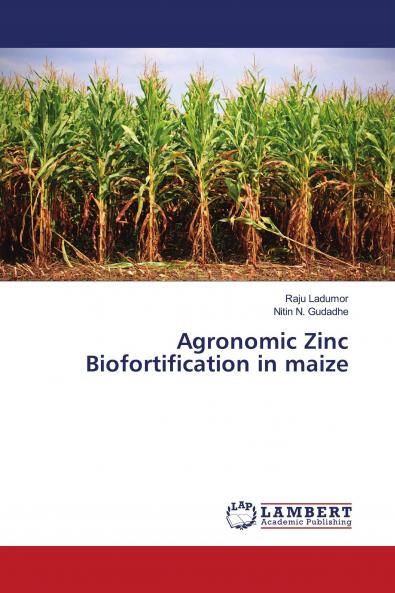 Agronomic Zinc Biofortification in maize