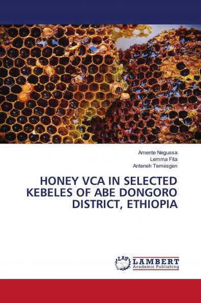 HONEY VCA IN SELECTED KEBELES OF ABE DONGORO DISTRICT ETHIOPIA